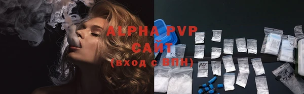 PSILOCYBIN Магас