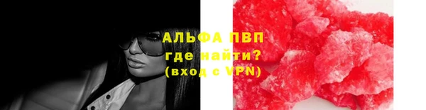 PSILOCYBIN Магас