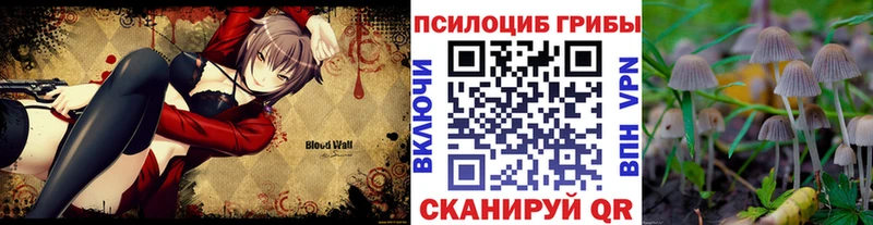 Псилоцибиновые грибы Psilocybine cubensis  Завитинск 