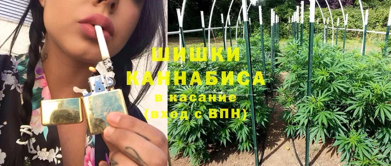 наркотики  Завитинск  Каннабис White Widow 